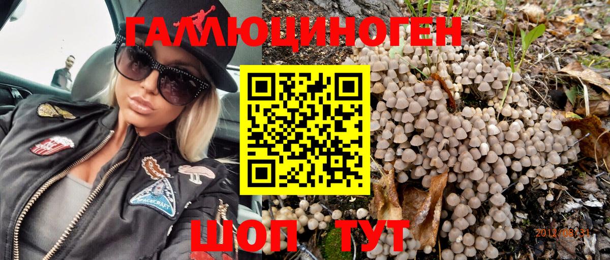 Галлюциногенные грибы GOLDEN TEACHER Новочеркасск