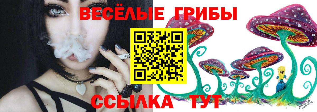 Галлюциногенные грибы MAGIC MUSHROOMS  Вход с VPN  закладки  Псилоцибиновые грибы ЛСД  Новочеркасск 